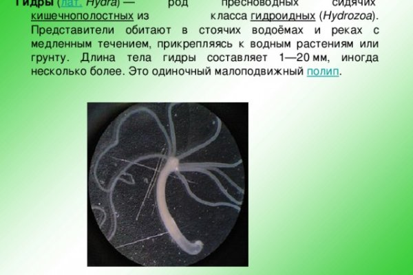 Как открыть кракен