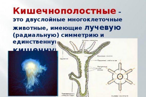 Кракен это даркнет