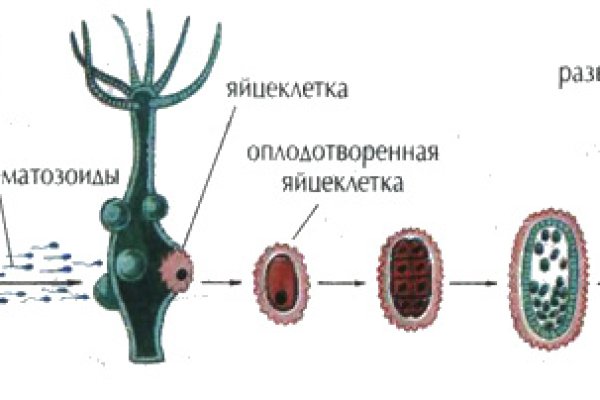 Кракен даркмаркет плейс